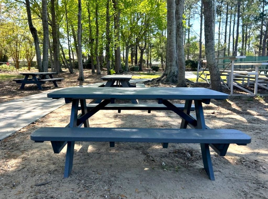 A dark green wooden picnic table and benches stand under tall trees in a sunlit park, with more picnic tables visible in the background. The ground is sandy, and the area is surrounded by greenery.